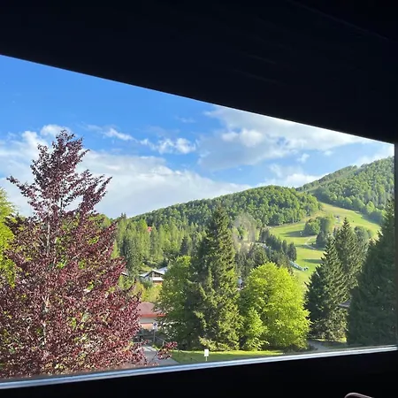 Loft - Garage & View * Piancavallo
